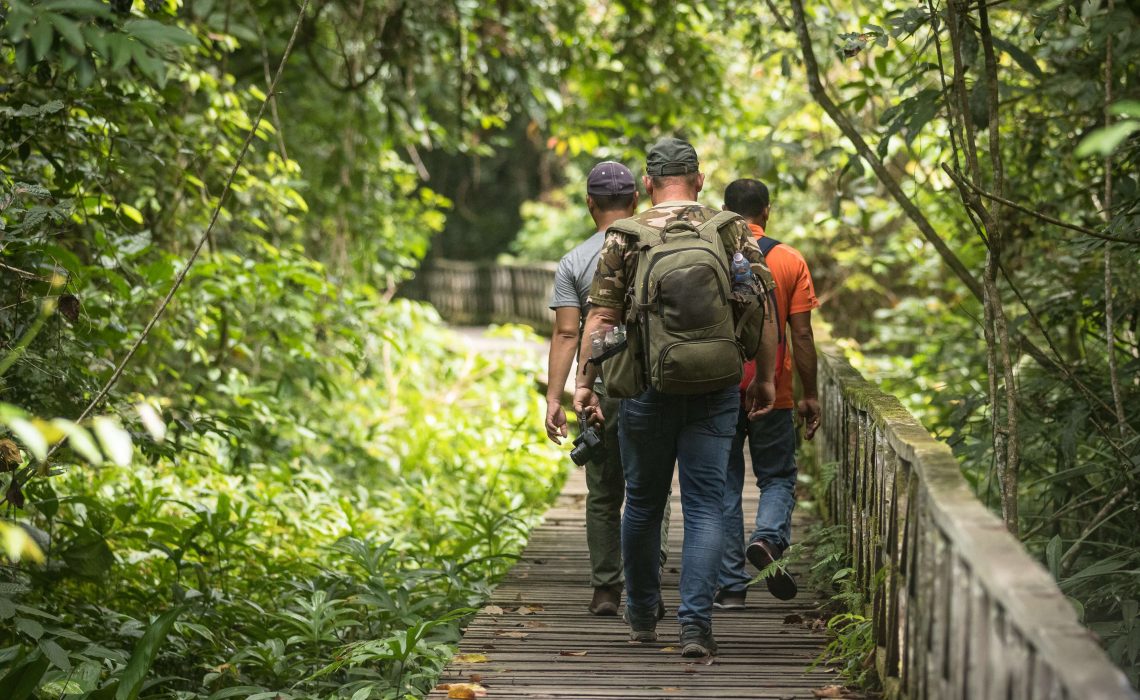 The boardwalk in Niah National Park in Sarawak Malaysia, walked by three people, tourists going to the famous Niah caves. Wooden plank walk and green rain forest